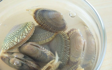 Tại sao ngao ốc đã nhả hết cát nên chờ thêm 30 phút rồi mới nấu?