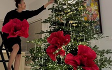 Mỹ nhân Vbiz 40 tuổi mới lấy chồng, không phải làm dâu, sống như bà hoàng trong bạch dinh 1000m²