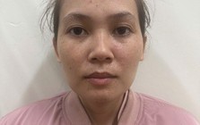 Bắt giữ, xử lý Đinh Mộng Duy