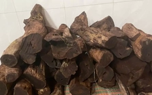 Gỗ mán đỉa 'sốt giá' bất thường