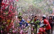 Bộ Tài chính thông tin về việc tặng quà toàn dân dịp Tết