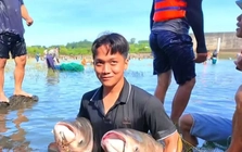 Người dân đổ xô vào Thuỷ điện Trị An bắt cá khủng