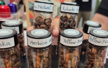 Giá cà phê hôm nay 15-12: Rớt liên tục, ông trùm cà phê nói gì?