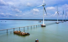 EVN khởi công, khánh thành 18 công trình dịp 19/12