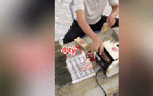 Xổ số miền Nam: Đoạn clip đại lý đếm tiền tỉ đổi thưởng độc đắc gây “sốt” mạng xã hội