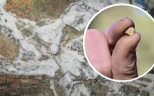 Tìm thấy ‘công cụ’ mới giúp phát hiện đến 70.000 tấn vàng cùng hàng loạt khoáng sản, có thể xoay chuyển hoàn toàn công nghệ khai thác kim loại quý