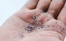 Top 2 loại củ quả ngậm đầy vi nhựa, nhiều người Việt vẫn vô tư ăn hàng ngày