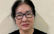 Chủ tịch Quốc Cường Gia Lai Nguyễn Thị Như Loan nộp 100 tỷ đồng, 4 thửa đất