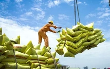 Việt Nam xuất khẩu 7,5 triệu tấn gạo