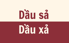 'Dầu sả' hay 'dầu xả', dùng sao cho đúng?