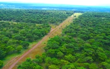 Chấp thuận chủ trương đầu tư sân golf nghìn tỷ ở Gia Lai