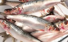 Loại cá nhìn quá đỗi bình thường ở chợ Việt là kho dinh dưỡng, bổ ngang "tổ yến nhân sâm", tiếc rằng ít người biết