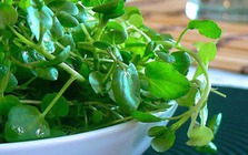 Chợ Việt có loại rau 10.000/bó, là "trùm cuối" chống ung thư được cả thế giới công nhận