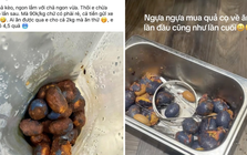 Trend kì cục: Tranh nhau mua nhưng ăn xong ai cũng "nổi đoá"