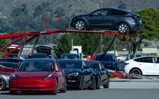 Công ty của Elon Musk bị kết án “tiếp thị lừa đảo”