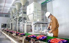 Dragon Capital không còn là cổ đông lớn tại Hóa chất Đức Giang trước khi cổ phiếu lao dốc