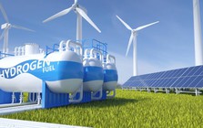 Khi năng lượng xanh trở thành điều kiện cạnh tranh của nền kinh tế