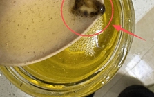 Có 5 thứ trong nhà "bị hỏng" trước hạn sử dụng! Xem để không đánh cược với sức khỏe gia đình bạn