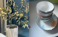 Nhà không yên, người không thuận: 3 "vật cản" nếu không dọn đi, may mắn khó lòng chạm ngõ