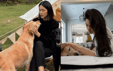 Chia buồn cùng Tăng Thanh Hà