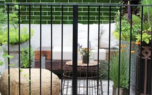 Trồng cây ban công kỵ nhất 5 sai lầm này: Tiếc là nhiều gia chủ chẳng mấy quan tâm