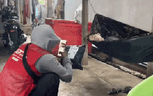 Đi ship hàng thấy khách ngủ không nỡ gọi, anh shipper có pha xử lý hút 1,5 triệu người xem