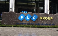FLC và các doanh nghiệp liên quan liên tục bị hủy tư cách công ty đại chúng
