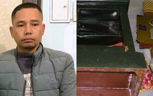 Bắt giữ Đặng Xuân Trường