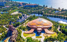 Người thân Phó Tổng giám đốc Vinpearl chi hơn 400 tỷ đồng gom cổ phiếu VPL