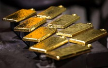 AI, radar xuyên đất vào cuộc - lập tức phát hiện mỏ vàng siêu khổng lồ dưới đáy biển lớn nhất châu Á