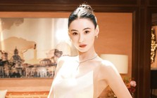 Trương Bá Chi lập di chúc