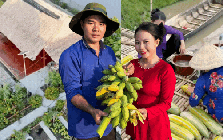 Bỏ phố về quê, vợ chồng miền Tây biến mảnh đất 3.000m2 khô cằn thành khu vườn được quy hoạch thẳng tắp như "chơi game"