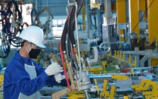 Hơn 300.000 doanh nghiệp thành lập mới và quay lại hoạt động trong năm 2025