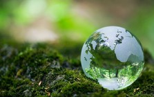 Chuỗi cung ứng xanh toàn cầu đang tái cấu trúc: Việt Nam cần làm gì để không bị loại khỏi cuộc chơi?