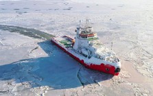 Không phải dầu mỏ hay khí đốt, Trung Quốc đang săn lùng một mặt hàng chiến lược của Nga với khối lượng khổng lồ, giá liên tiếp lập đỉnh từ đầu năm