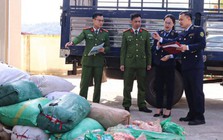 Bí mật giấu kín trong 40 bao tải trên xe ô tô đậu ven đường