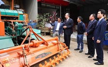 Giống lúa Việt gây "bão" ở Cuba, Đại sứ đích thân tới tận nhà nông dân tìm hiểu