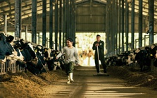 Mộc Châu Creamery: Di sản từ "nghệ nhân sữa" và vị ngon tiếp nối truyền đời