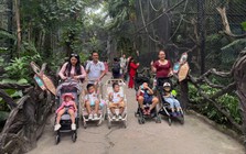 Không còn là tour hay tự túc - Giới bận rộn chọn "trợ lý du lịch"