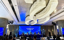 ĐHCĐ bất thường NCB: Đề xuất phát hành riêng lẻ 1 tỷ cổ phiếu để tăng vốn, bầu HĐQT nhiệm kỳ mới