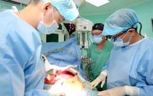 Bốn ca ghép tủy, gan và tim thành công liên tiếp tại Bệnh viện Trung ương Huế