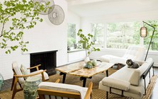 Đầu năm mới khuyên bạn nên trồng 5 loại cây này: Rước lộc vào nhà, hút tiền bạc như nam châm