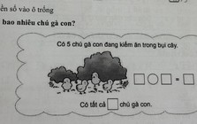Bài toán tiểu học khiến phụ huynh phải lên mạng hỏi vì dữ liệu được "giấu" trong bụi cây