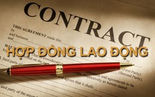 Chính phủ ban hành quy định mới liên quan đến hợp đồng lao động có hiệu lực ngay tuần sau, người đi làm cần chú ý!