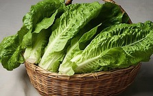 Mùa đông đừng chỉ ăn củ cải: 4 loại “rau vàng” rẻ tiền này mới thực sự bổ gan, đẹp da, tăng đề kháng