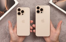 14 sản phẩm bị Apple "khai tử" trong năm nay, có mẫu iPhone quen mặt