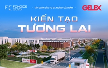 Hạ tầng GELEX IPO: Bước đi chiến lược tiếp theo của GELEX sau thành công với GEE