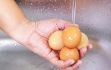 Mua trứng về cất tủ lạnh, nên rửa sạch hay để nguyên? Lời giải từ chuyên gia khiến nhiều người "giật mình"