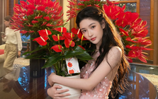 Loài hoa "nồi đồng cối đá" nở thông 365 ngày: Muốn chồng thăng quan tiến chức, tiền vào như nước nhất định phải rước về