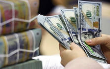 Cập nhật thị trường tiền tệ: Lãi suất qua đêm liên ngân hàng và tỷ giá USD giảm mạnh